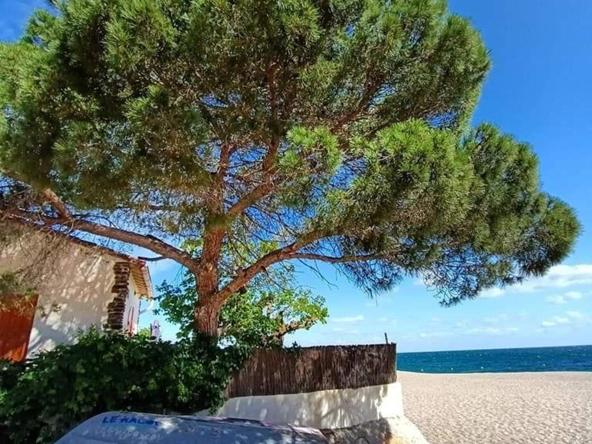 Pavillon 6 Pers A Argeles-Sur-Mer: Piscine, Clim, Parking, Wifi, Proche Plage - Fr-1-776-5 ภายนอก รูปภาพ